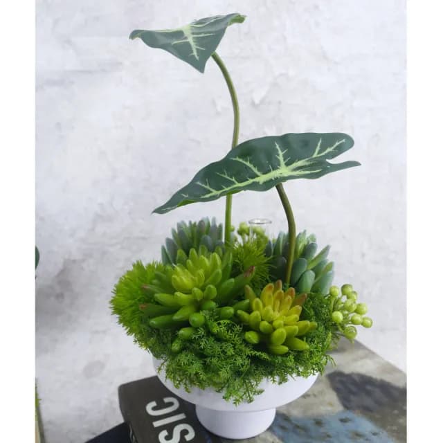 【HUGO DECO 榆果傢飾】觀音蓮葉多肉香氛植栽(擬真植物/人造盆栽/綠化/佈置)