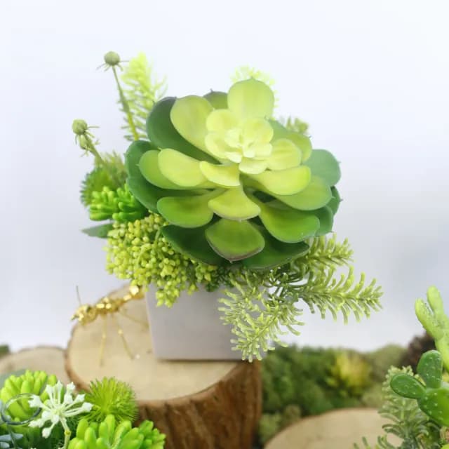 【HUGO DECO 榆果傢飾】大寶石蓮諾貝松香氛植栽(擬真植物/人造盆栽/綠化/佈置/禮物)