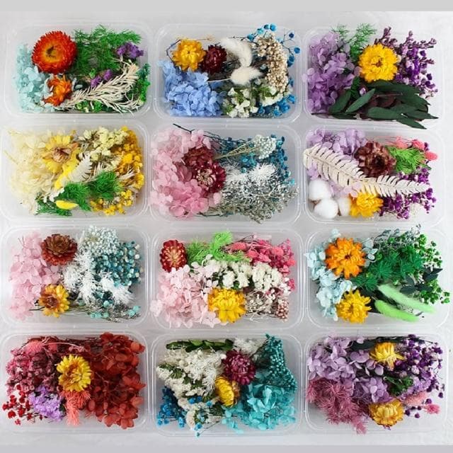 【A-ONE 匯旺】天然乾燥花 壓花 押花滿天星 不凋花 送禮花束 畢業花束 生日禮物居家擺設(C14)