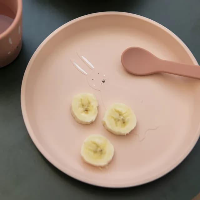 【Trixie 比利時】動物造型矽膠餐盤 多款可選(副食品 餐具)