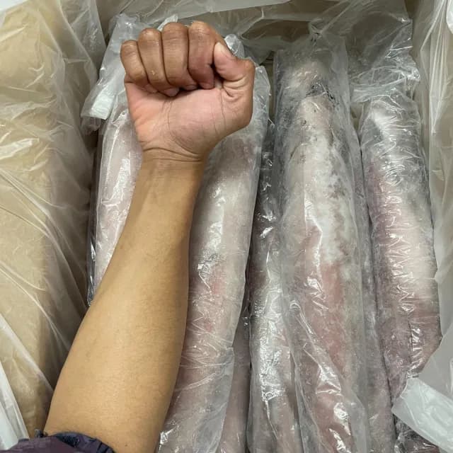 【好神】巨無霸大砲管透抽5尾組(800g-1000g/尾/中秋烤肉/火鍋/燒烤)