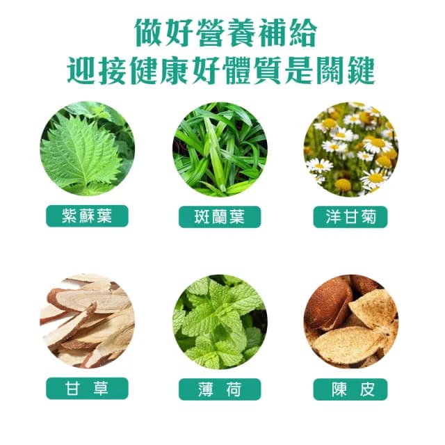 【High Tea】舒活紫蘇草本茶1.5gx12入x1袋(天然漢方花草配方)