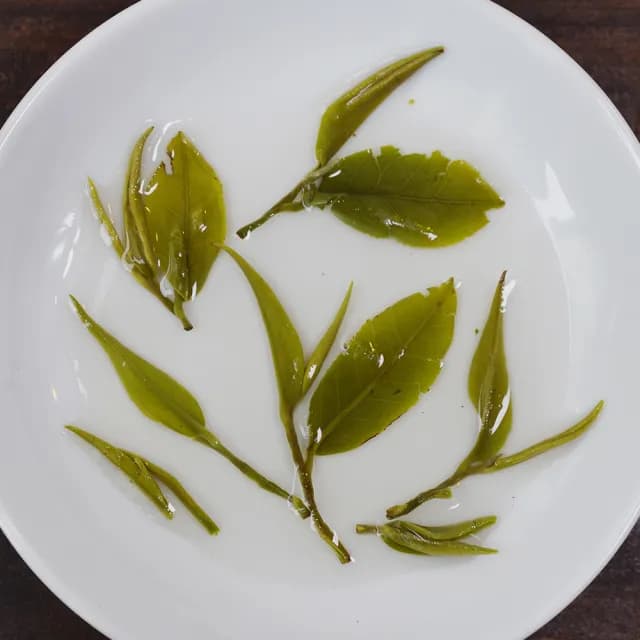 【沁意】手採春茶! 三峽自然栽培綠茶-白毫碧螺春特惠組(50gx4盒/附試喝包)