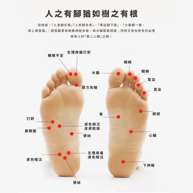 【舒壓+】養生SPA足底按摩器(磁珠 穴道 穴位 滾輪 足部 足療板 禮物 刮痧 承重強 防撞防踢 禮物 不佔位)