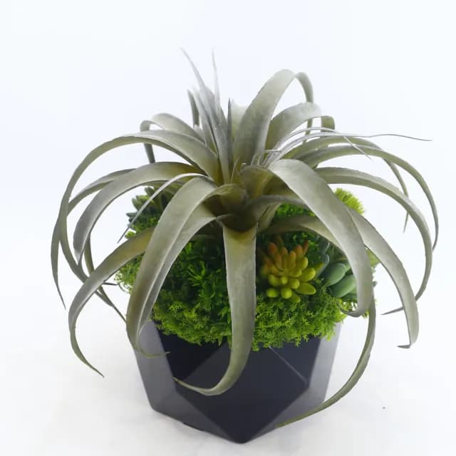 【HUGO DECO 榆果傢飾】灰綠空氣鳳梨多肉植栽(擬真植物/禮物/綠化/永不凋零/佈置/人造植栽)