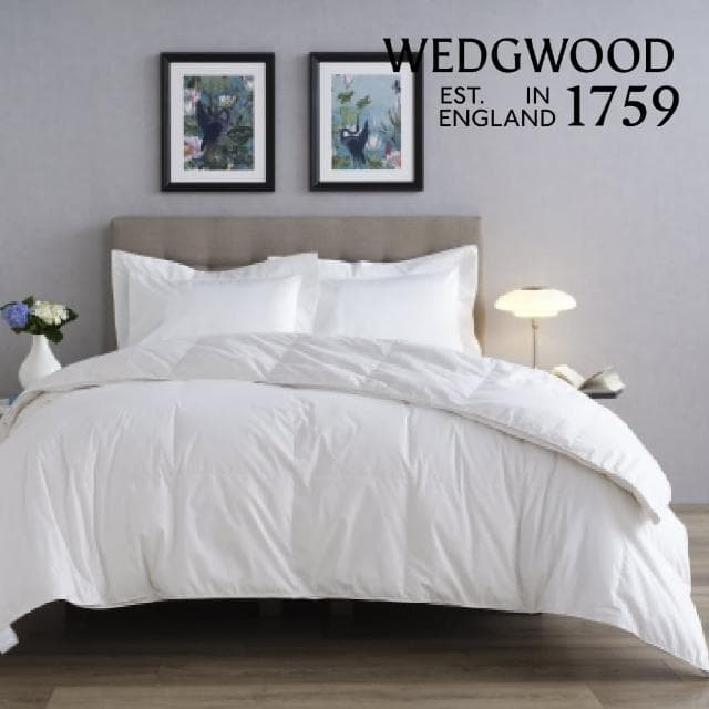 【WEDGWOOD】80/20雅品白鴨絨 抗菌羽絨舒眠被(雙人180x210cm)