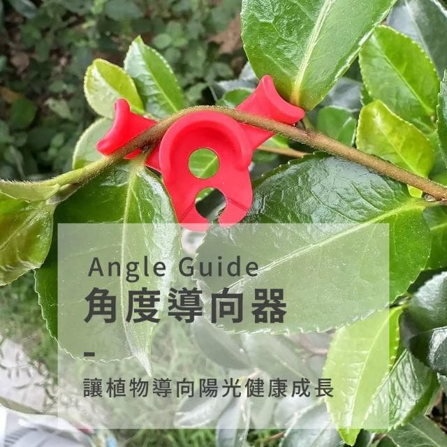 園藝植物折彎器5入(不傷植物 光照訓練輔助器 彎曲器 植物生長訓練器 盆栽 盆景工具 彎枝器 固定器)