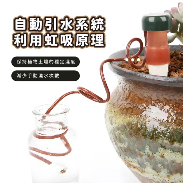 【懶人必備】陶瓷小蝸引水式自動澆花器-6入組(滴水器 家用澆水器 多肉 園藝 植物盆栽 灑水 澆水工具)