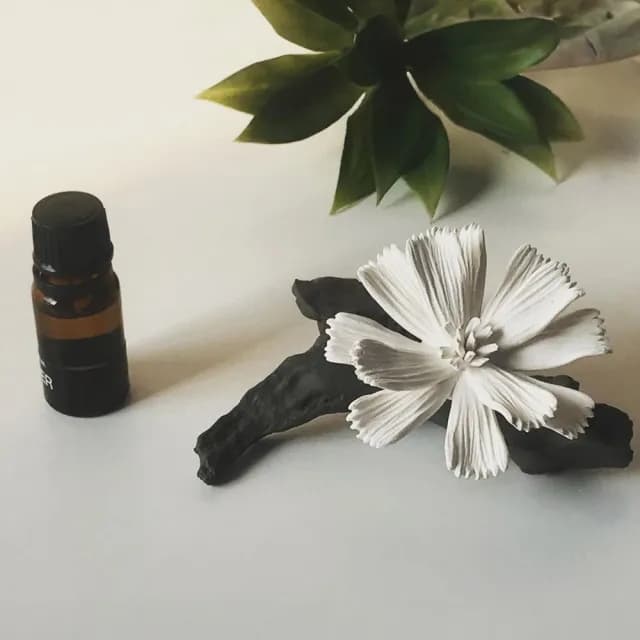 【KIDDEE TAMDEE】樹枝緞帶花擴香器組-康乃馨精油10ml