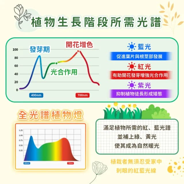 【DREAMCATCHER】天使環植物燈(植物燈 植物生長燈 植物日照燈 多肉植物燈 盆栽燈 LED燈)