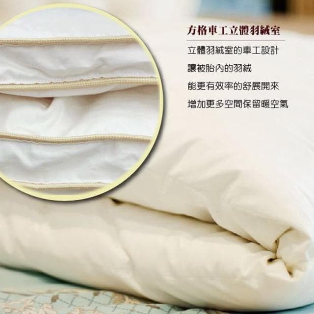 【JENNY SILK 蓁妮絲生活館】JS法國頂級98%羽絨被 法國進口鴨絨(雙人180X210CM)