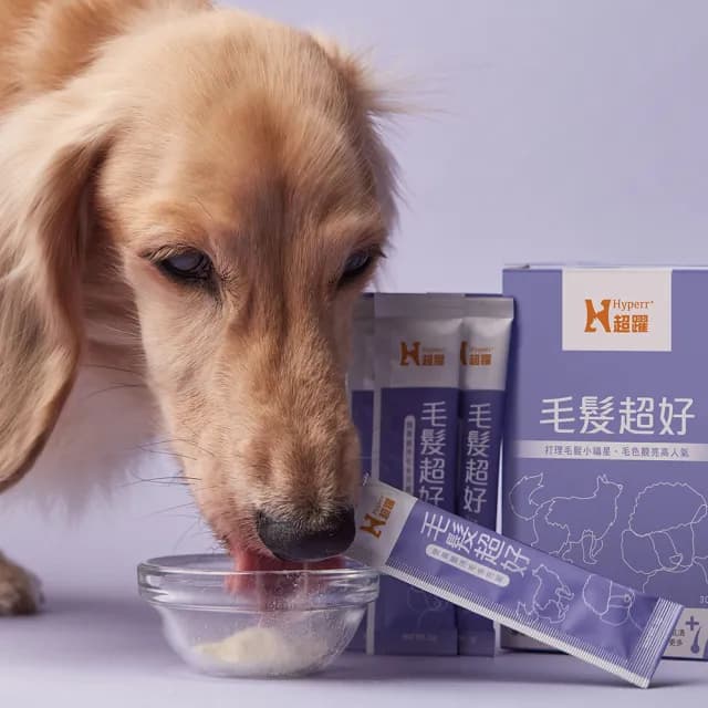 【Hyperr 超躍】狗貓毛髮超好保健品 30包/盒(寵物保健/貓狗保健食品/貓狗毛髮保養/貓狗毛色保健)