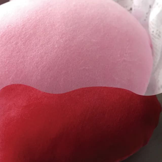 【LASSLEY】舒適棉絨愛心枕-大(絨毛抱枕靠枕 浪漫情人節禮物 造型枕 午睡枕 紅心 粉心 台灣製造)