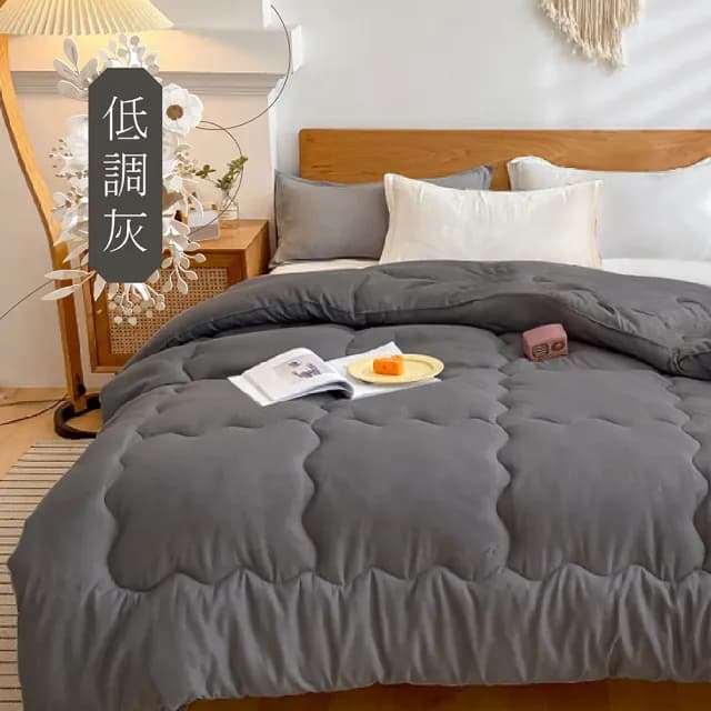 【日禾家居】買一送一 石墨烯保暖可水洗被2.5KG 棉被 冬被(雙人180X210cm 多色選)