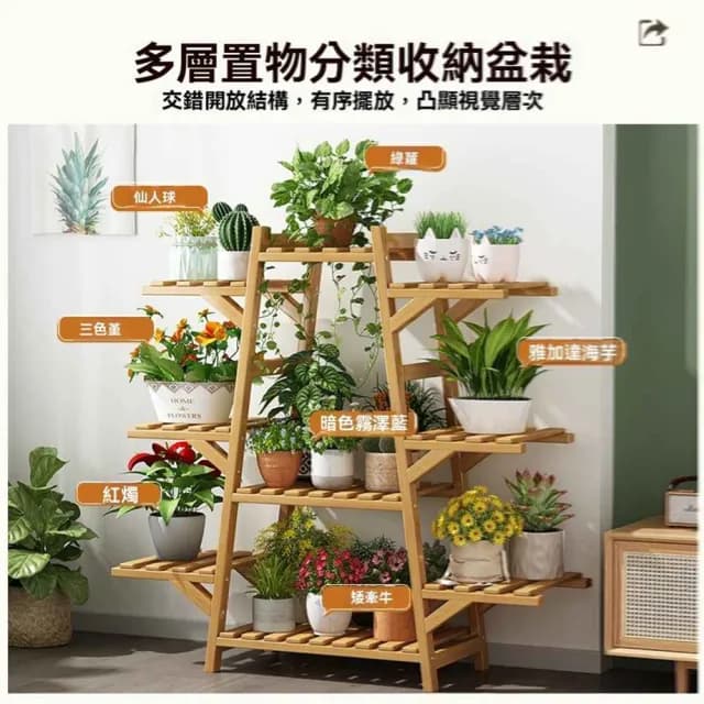 【竹中生智旗艦店】A字原色 9層 帶輪(花架 置物架 花盆架 盆栽架 植物架子 預購15天)
