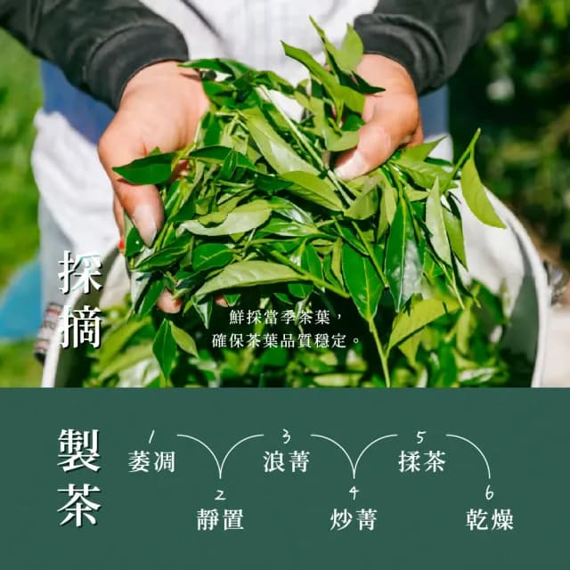 【名池茶業】厚禮 阿里山 凍頂三分 烏龍茶葉禮盒150gx2罐(共0.5斤；春茶精選)