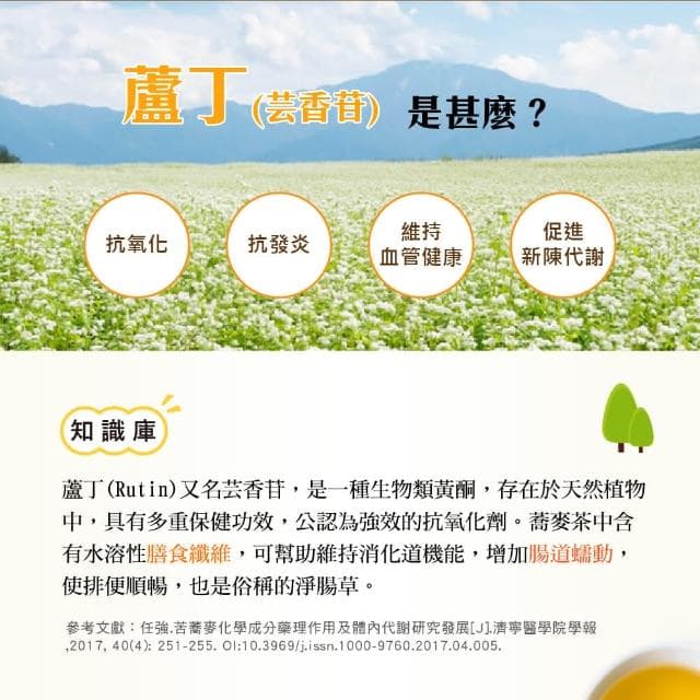 【High Tea 伂橙】黃金蕎麥茶x3袋組(6gx15入/袋；無咖啡因；100%台灣韃靼蕎麥)