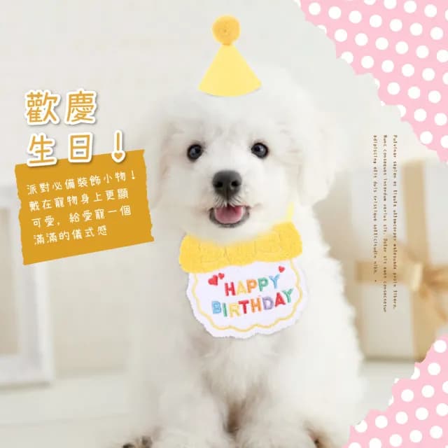 【派對焦點】韓系刺繡寵物生日圍兜+帽子2件套(寵物衣服 生日領巾 貓咪 狗 口水巾 生日帽 裝飾 慶生道具)