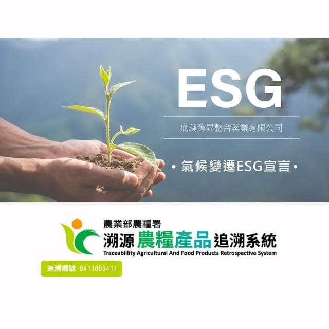 【無藏茗茶】四入祝福禮盒×5入組(茶葉禮盒/畢業禮物/祝賀禮盒/附提袋)