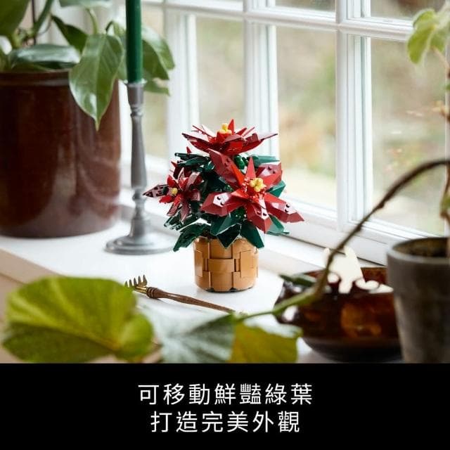 【LEGO 樂高】Botanicals 10370 聖誕紅(居家擺飾 交換禮物 聖誕禮物 裝飾 玩具 母親節禮物)