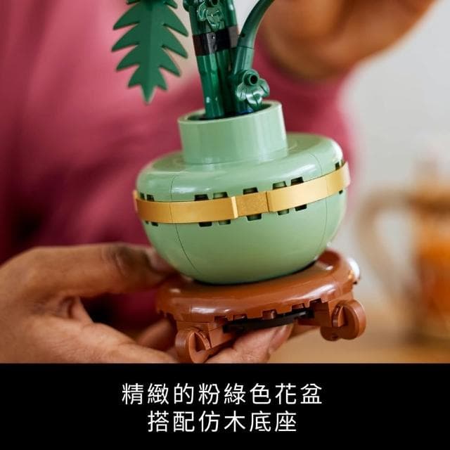 【LEGO 樂高】Botanicals 10368 菊花(花藝植栽 居家擺設 送禮推薦 母親節禮物)