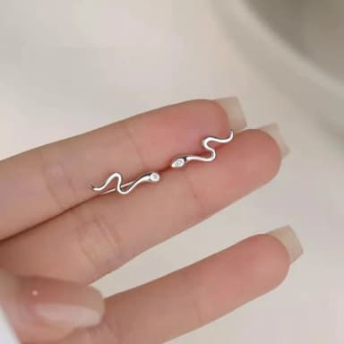 【Porabella】925純銀鋯石耳釘 好運耳釘 小蛇耳環 蛇年本命年耳環 時尚ins 耳飾 Earrings