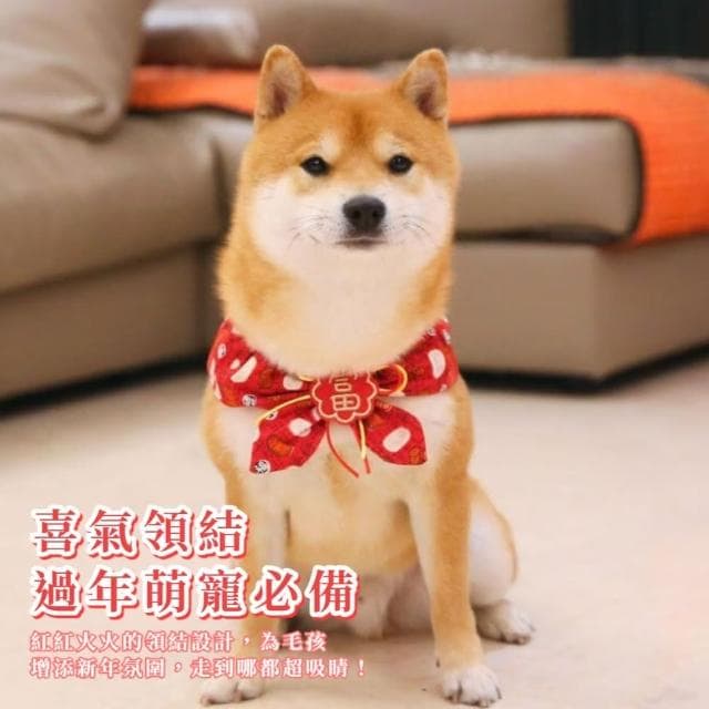 【美寵寵】寵物喜氣領結新年口水巾(招財 喜慶 狗貓 裝扮 衣服  圍脖 頸圈 派對裝飾 禮物 過年 節日 項圈)