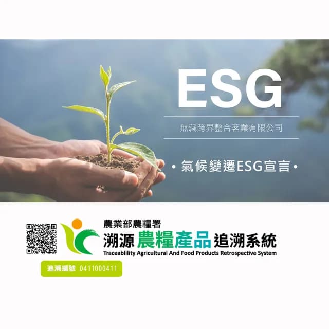 【無藏茗茶】四入祝福禮盒-解鎖未來(茶葉禮盒/畢業禮物/祝賀禮盒/附提袋)