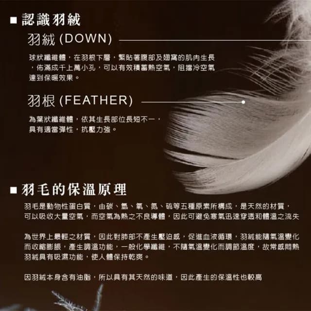【Jenny Silk 蓁妮絲】JS法國頂級98%羽絨被 法國進口鴨絨(單人4.5X6.5尺)
