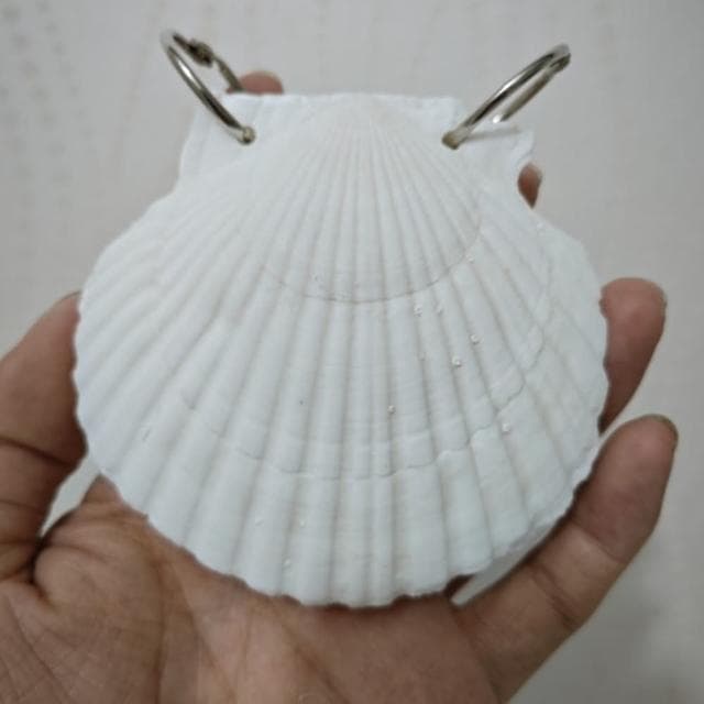 【JEN】手工天然貝殼手帳小冊記事本一入顏色隨機出貨(畢業禮物 生日禮物 交換禮物 聖誕禮物)