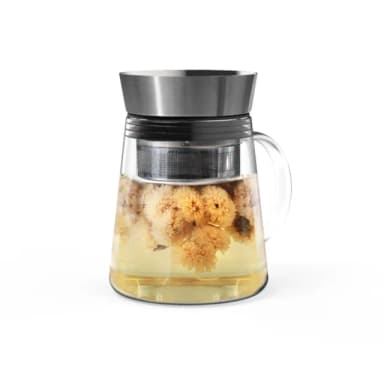 【Driver】甘丹茶壺-500ml(專利設計 功夫茶具 泡茶壺 沖茶壺 熱茶壺 沏茶壺 冷泡茶 耐熱玻璃壺)
