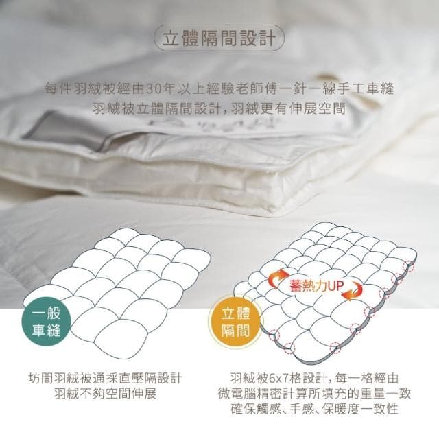 【1/3 A LIFE】五星級飯店款 JIS 90/10羽絨冬被(雙人6x7尺)