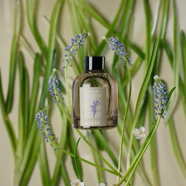 【hoi!LAB】LAB台灣百岳香氛-擴香精油170ml(多款味道可選)