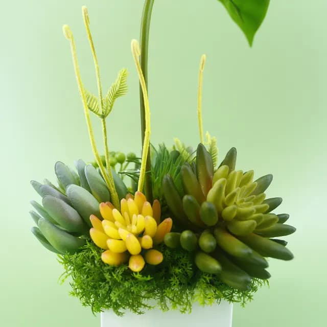 【HUGO DECO 榆果傢飾】觀音蓮葉佛手蓮香氛植栽(擬真植物/人造盆栽/綠化/佈置/禮物)