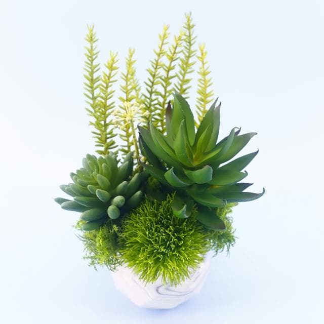 【HUGO DECO 榆果傢飾】蘆薈多肉組合香氛植栽(擬真植物/人造盆栽/綠化/佈置/禮物)