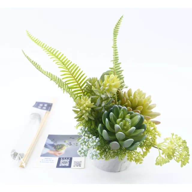 【HUGO DECO 榆果傢飾】羊齒蕨多肉組合香氛植物(擬真植物/人造盆栽/綠化/佈置/禮物)