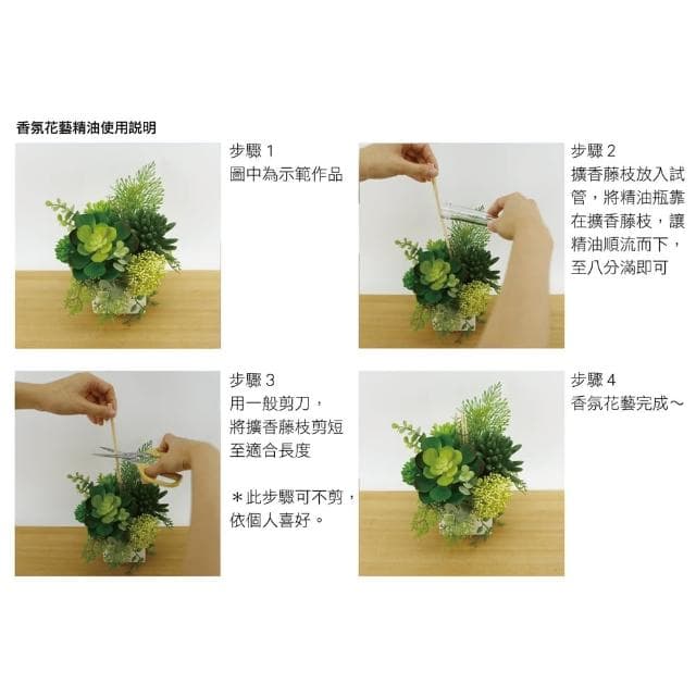 【HUGO DECO 榆果傢飾】羊齒蕨多肉組合香氛植物(擬真植物/人造盆栽/綠化/佈置/禮物)