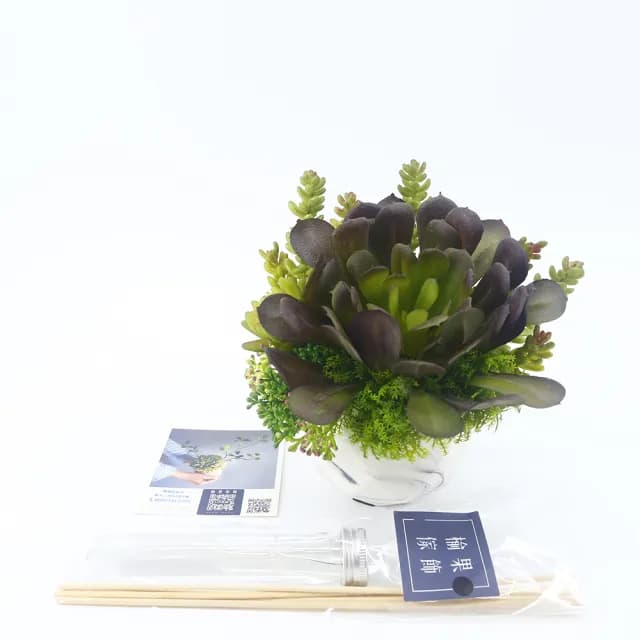 【HUGO DECO 榆果傢飾】黑法師多肉香氛盆栽(擬真植物/人造盆栽/綠化/佈置/禮物)