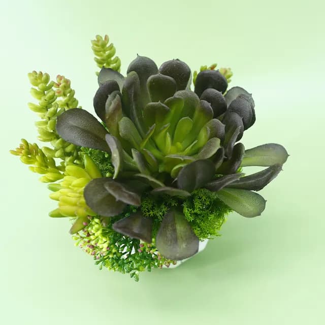 【HUGO DECO 榆果傢飾】黑法師多肉香氛盆栽(擬真植物/人造盆栽/綠化/佈置/禮物)