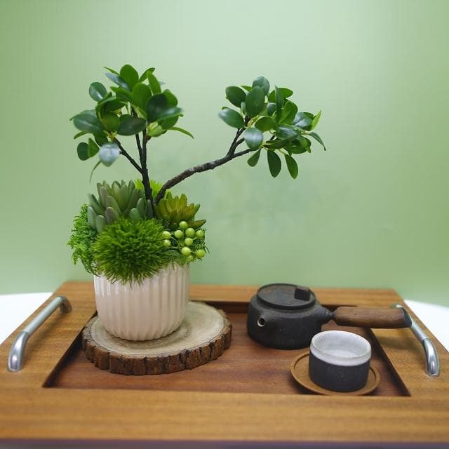 【HUGO DECO 榆果傢飾】榕樹下的禪學 綠植款香氛盆栽(擬真植物/人造盆栽/綠化/佈置/禮物)