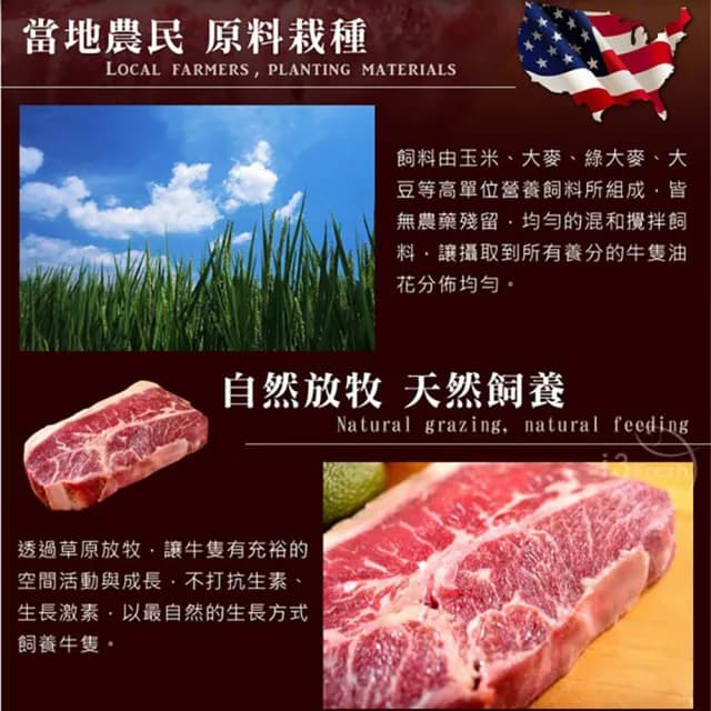 【享吃肉肉】美國藍帶特選嫩肩牛排10片組 共5包(2片裝/100g±10%/片  中秋烤肉/燒烤)