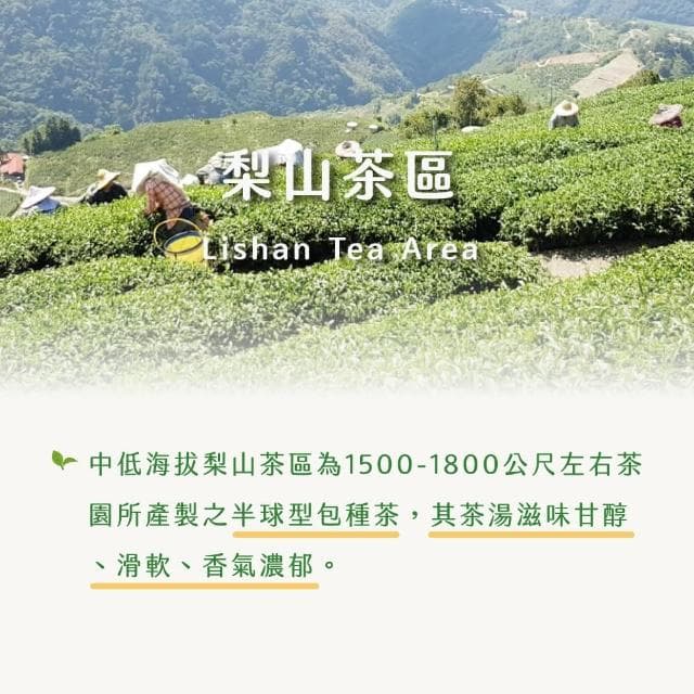 【茶曉得】梨山比賽級冷韻烏龍茶葉75gx4包(0.5斤)
