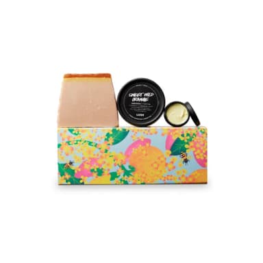 【LUSH 嵐舒】呵護雙手 身體護理禮盒(香皂/護甲霜/護手霜/果香/檸檬/蜂蜜)