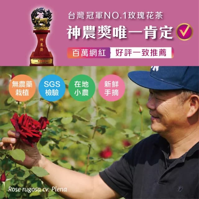 【慢悠仙】神農獎玫瑰花茶包 1.2gX10入(台灣/可沖泡20壺/SGS無農藥/無咖啡因/養生茶)
