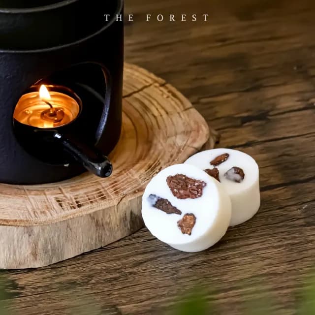 【The Forest 癒森林】癒創木香氛蠟塊4入組23g*4 癒創木+雪松+麝香(香氛蠟燭/居家香氛/香氛蠟塊)