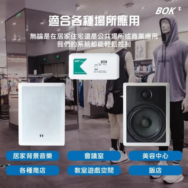 【BOK】BA220 TWS藍牙小擴大機及IK-208 8吋方形二音路崁入式喇叭2支套組含MKL N60喇叭線20米