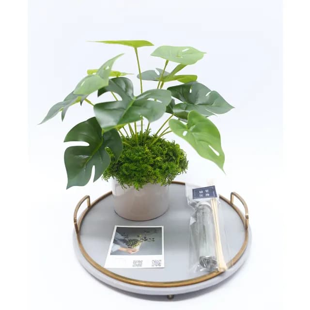 【HUGO DECO 榆果傢飾】擬真龜背芋 電信蘭香氛植栽 低款(擬真植物/人造盆栽/綠化/佈置/禮物)