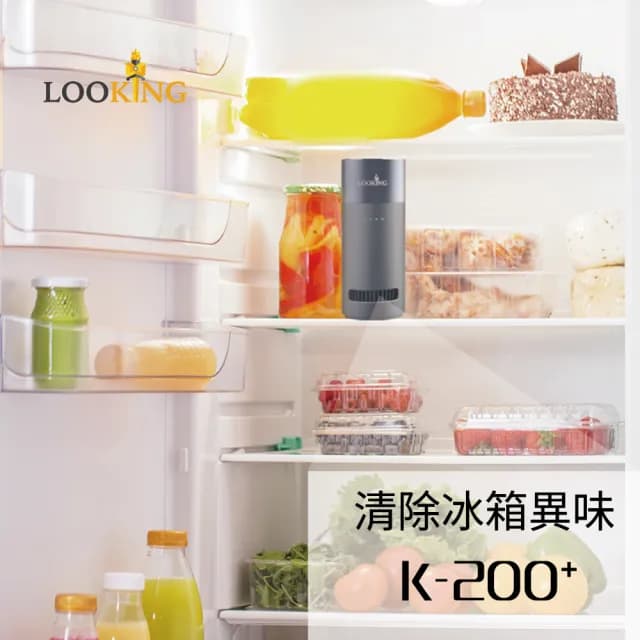 【LOOKING 錄得清】K200+臭氧淨化器(除霉 殺菌 除甲醛 免換濾網)
