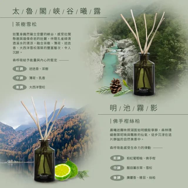【mo select】植萃精油天然柳枝擴香任選2入超值組 180ml(交換禮物/居家香氛/精油擴香/精美禮物)