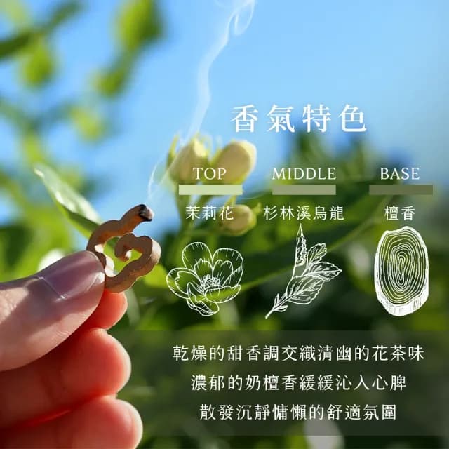 【原木香】茉莉花無黏香 7罐(小祥雲10片裝 食用級 無毒花壇茉莉花)